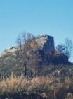 Roko Sulentic (5)