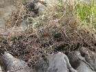 Terenska-Marjan (8)