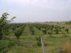 DSC01940