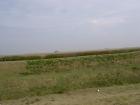 DSC01944
