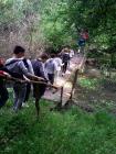 IMG_20170426_211950