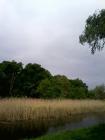 IMG_20170426_213036