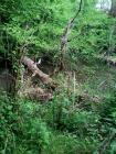 IMG_20170426_214405