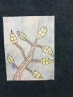 IMG-1133