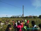 PICT0775