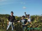 PICT0810