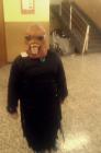 IMAG0562
