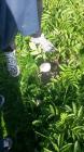 20141010_105710