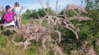 20160422_095019