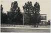 1936. Godine
