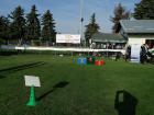 Djeja Olimpijada Borovo 2019. 1.