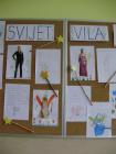 Svijet Vila