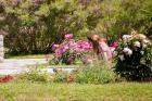 IMG_4765 (Large)