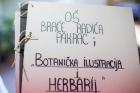 IMG_4798 (Large)