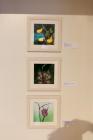 IMG_4827 (Large)