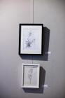 IMG_4832 (Large)