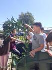 IMG-20220926-WA0017