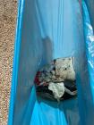 IMG-20220927-WA0031