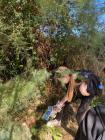 IMG-20220927-WA0041