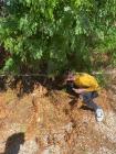 IMG-20220927-WA0087