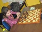 Sah_2013_13