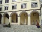 IMG_4519