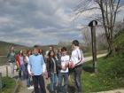 Picture 029