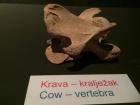Divovi_Patagonije_17