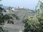 11_Pogled Na Motovun Kroz Maslinove Grane