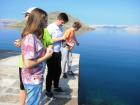 Velebit_7ab_2017_006