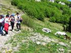Velebit_7ab_2017_016