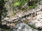 Velebit_7ab_2017_029