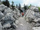Velebit_7ab_2017_030