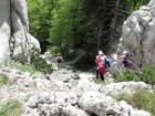 Velebit_7ab_2017_041