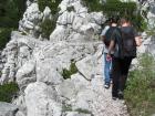 Velebit_7ab_2017_077