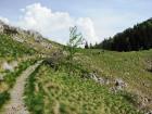 Velebit_7ab_2017_086
