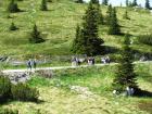 Velebit_7ab_2017_091