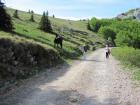 Velebit_7ab_2017_094
