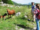 Velebit_7ab_2017_095