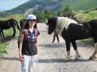 Velebit_7ab_2017_104
