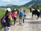 Velebit_7ab_2017_106