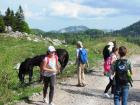 Velebit_7ab_2017_107