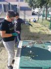 WhatsApp Image 2021-02-01 At 12.16.37