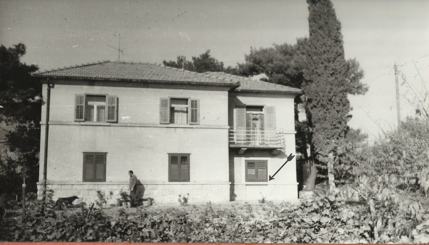 Kua Pave Kovaia