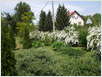 OKOLI