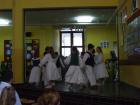 Savila Se Loza Vinova