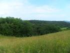 SUK_2011_003