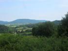 SUK_2011_006