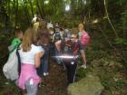 SUK_2011_007