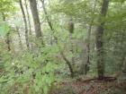 SUK_2011_021